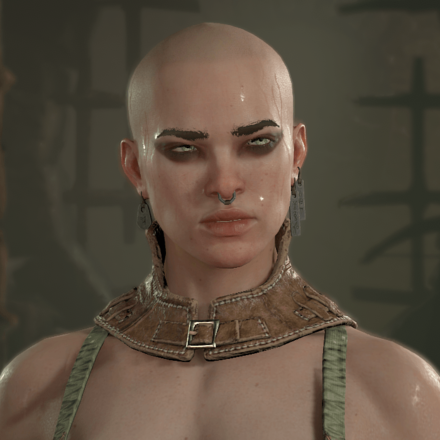 Diablo 4 - Rogue Hair 1