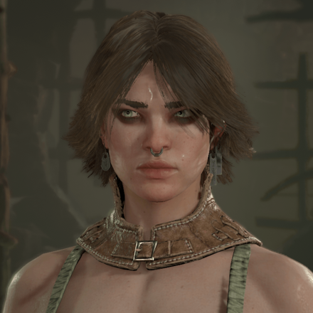 Diablo 4 - Rogue Hair 8