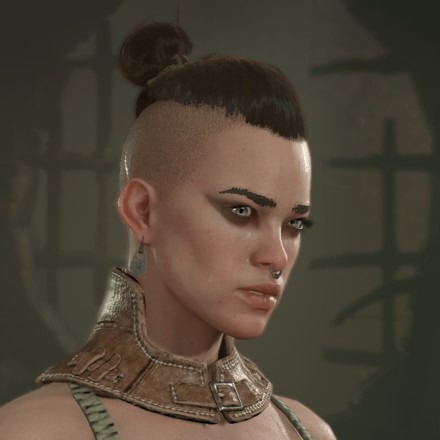 Diablo 4 - Rogue Hair 5