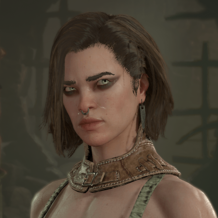 Diablo 4 - Rogue Hair 11