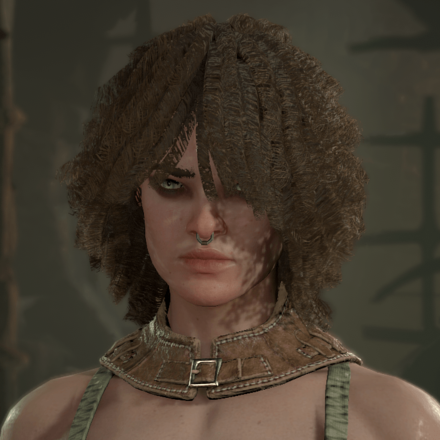 Diablo 4 - Rogue Hair 2