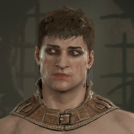 Diablo 4 - Rogue Hair 9