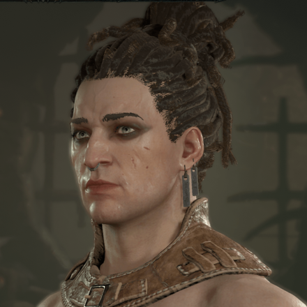 Diablo 4 - Rogue Hair 3