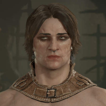 Diablo 4 - Rogue Hair 6