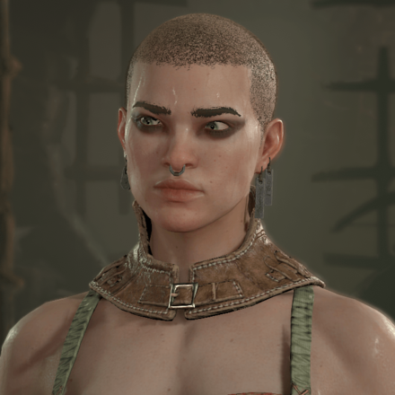 Diablo 4 - Rogue Hair 4