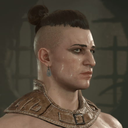 Diablo 4 - Rogue Hair 5