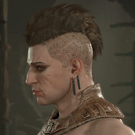 Diablo 4 - Rogue Hair 10