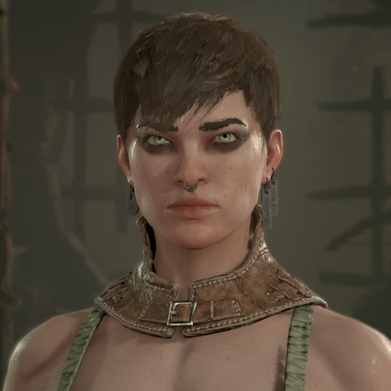 Diablo 4 - Rogue Hair 9