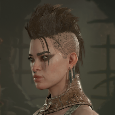 Diablo 4 - Rogue Hair 10