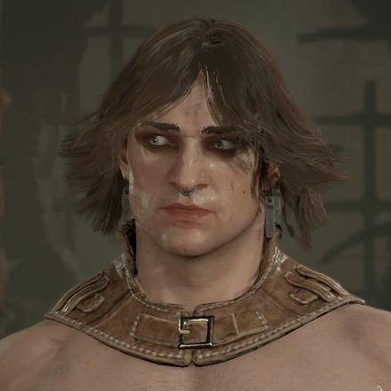 Diablo 4 - Rogue Hair 8