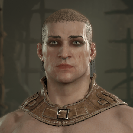 Diablo 4 - Rogue Hair 4