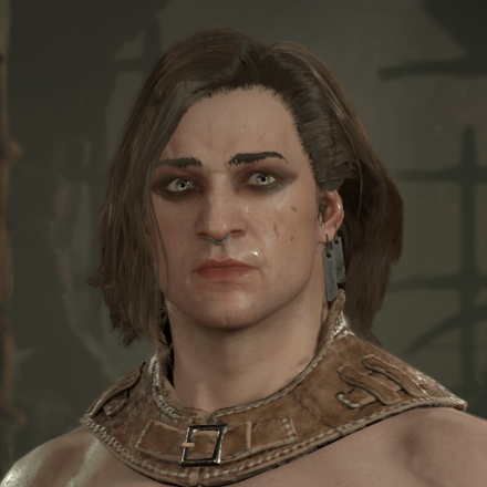 Diablo 4 - Rogue Hair 11