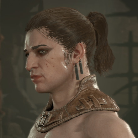 Diablo 4 - Rogue Hair 7