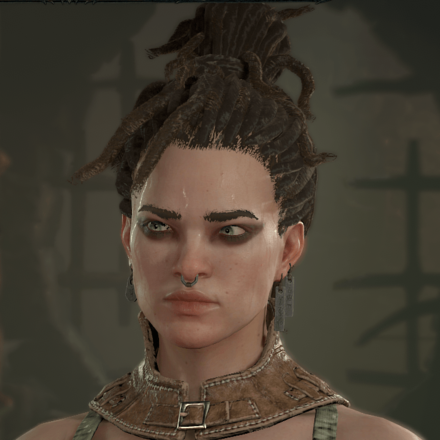 Diablo 4 - Rogue Hair 3