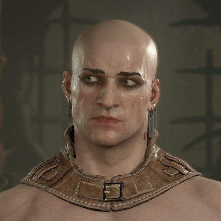 Diablo 4 - Rogue Hair 1