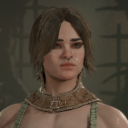 Diablo 4 - Rogue Hair 6