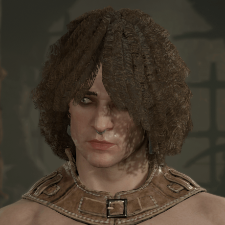 Diablo 4 - Rogue Hair 2
