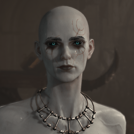 Diablo 4 - Necromancer Hair 1