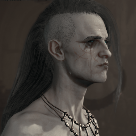 Diablo 4 - Necromancer Hair 9
