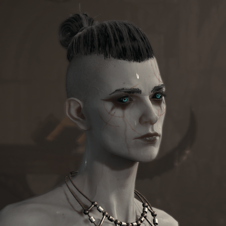 Diablo 4 - Necromancer Hair 5