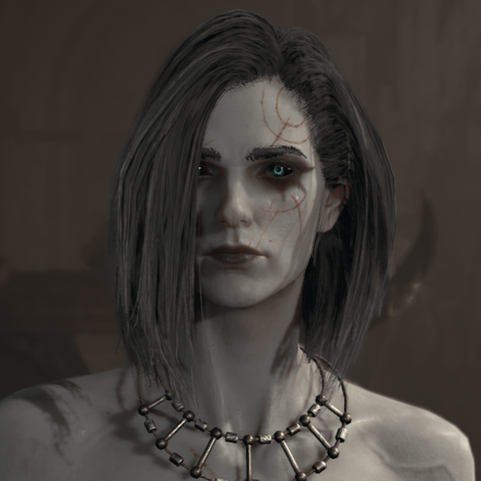 Diablo 4 - Necromancer Hair 11