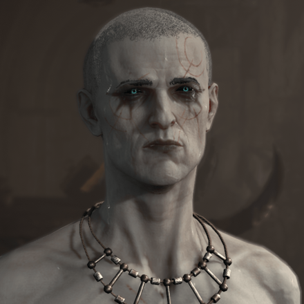 Diablo 4 - Necromancer Hair 4