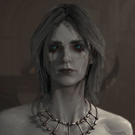 Diablo 4 - Necromancer Hair 8