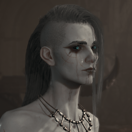 Diablo 4 - Necromancer Hair 9
