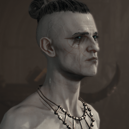 Diablo 4 - Necromancer Hair 5