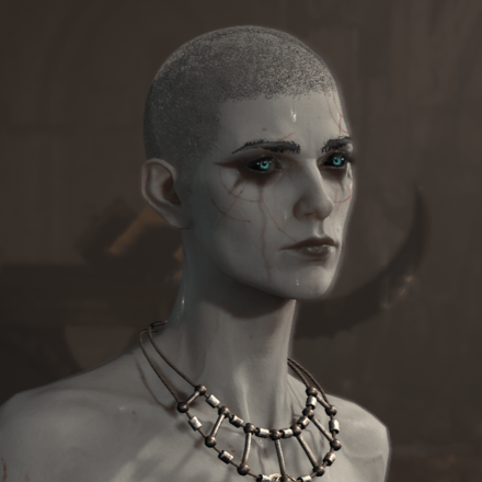 Diablo 4 - Necromancer Hair 4