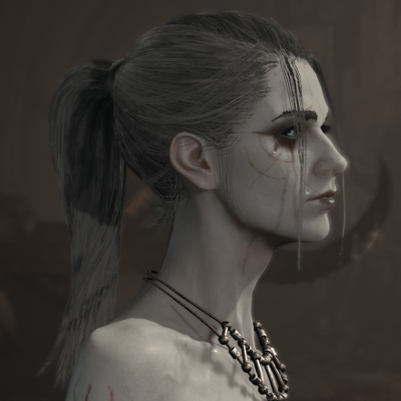 Diablo 4 - Necromancer Hair 7