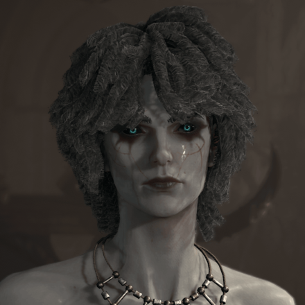 Diablo 4 - Necromancer Hair 2