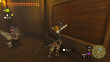 A Picture for Snowfield Stable Quest