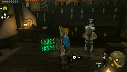 Tears of the Kingdom TOTK Codgers