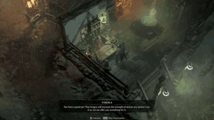 Diablo 4 - Talk to Veroka