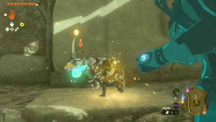 Zelda Tears of the Kingdom TOTK - Defeat All the Bokoblins