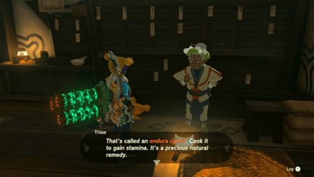 Zelda Tears of the Kingdom TOTK - Talk to Trissa for Your Reward