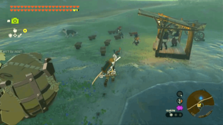 Zelda Tears of the Kingdom TOTK - Feathered Fugitives First Cuccoo Beside Musicians