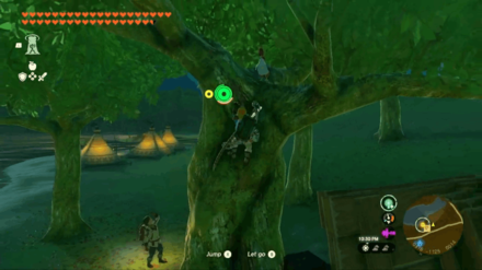 Zelda Tears of the Kingdom TOTK - Feathered Fugitives On Top of Tree By Building Supplies