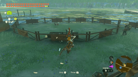 Zelda Tears of the Kingdom TOTK - Feathered Fugitives Return Cuccoos to the Fence