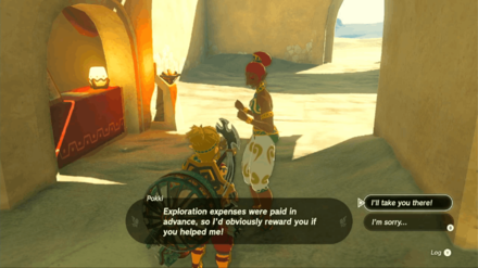 Zelda Tears of the Kingdom TOTK - To The Ruins Talk to Pokki