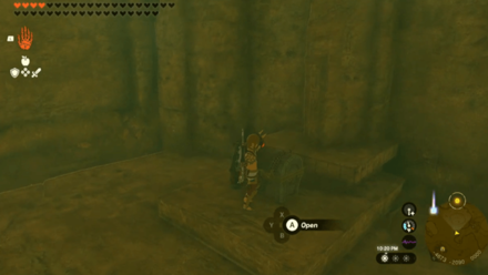 TOTK - Open the Treasure Chest