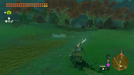 Tears of the Kingdom - Going to Octorok Lake