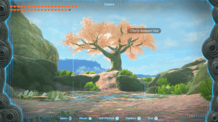 TOTK - A Picture for Outskirt Stable Take a Picture