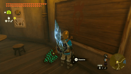 A Picture for Highland Stable Quest