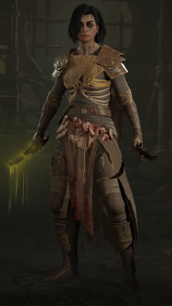 Diablo 4 - Rogue Killer