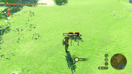 Tears of the Kingdom TOTK - Frozen Gourmet Meat Duplication Glitch Step 2