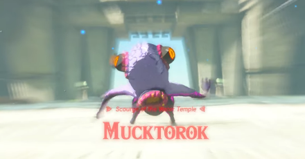 Totk - Mucktorok