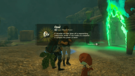 Tears of the Kingdom - True Treasure Reward