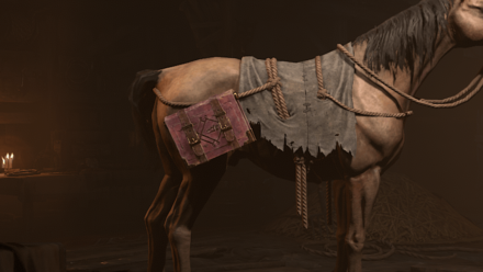 Horadric Tome Cosmetic